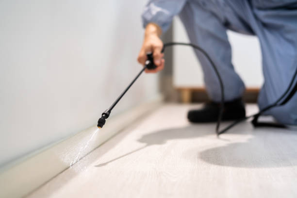 Licensed Mosquito Control service in Waterbury, CT - Show Me Pest Control