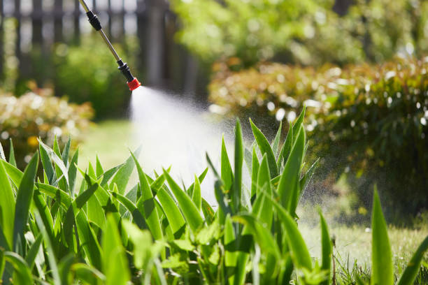 24/7 Emergency Mosquito Control experts in Waterbury, CT