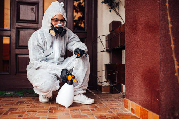Reliable Mosquito Control contractor in Waterbury, CT by Show Me Pest Control