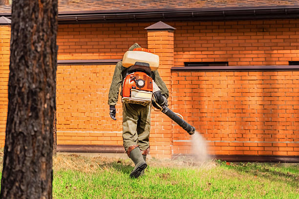 Top rated local Mosquito Control specialists in Waterbury, CT